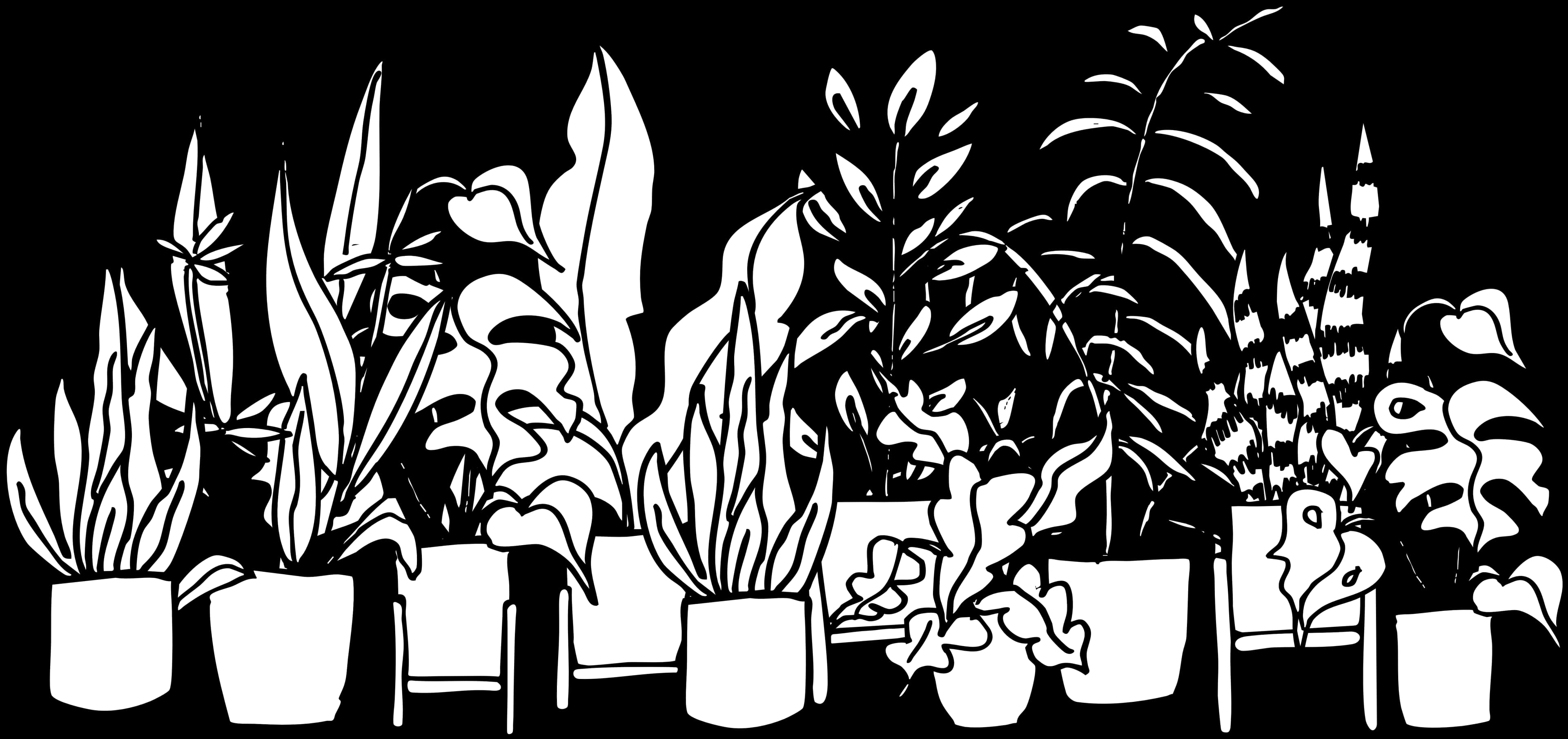 A plant divider with potted plants arranged in a large partition.