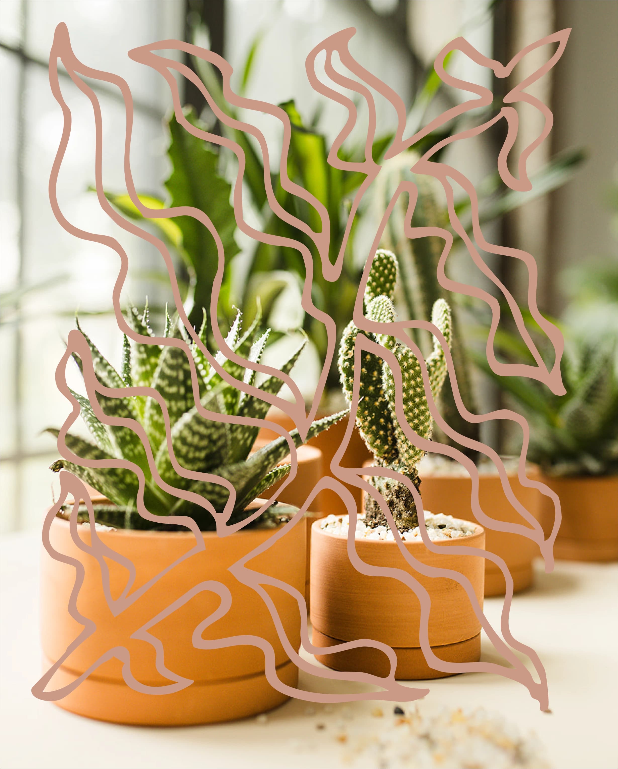 A large-scale Plant Library installation in an elevated interior.