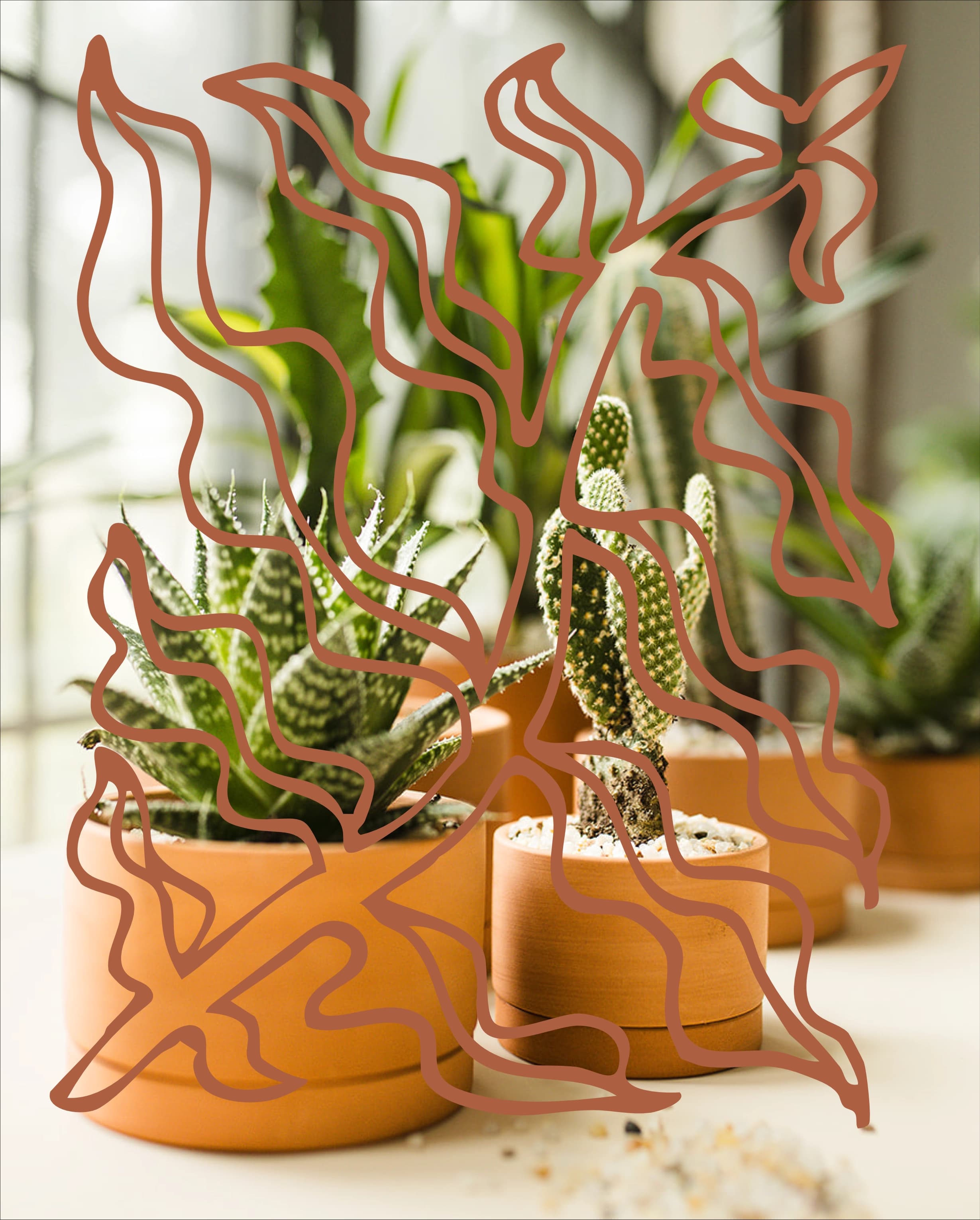 A large-scale Plant Library installation in an elevated interior.