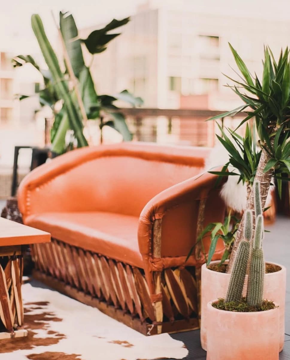 A lounge setting with plant styling around a curved orange sofa.