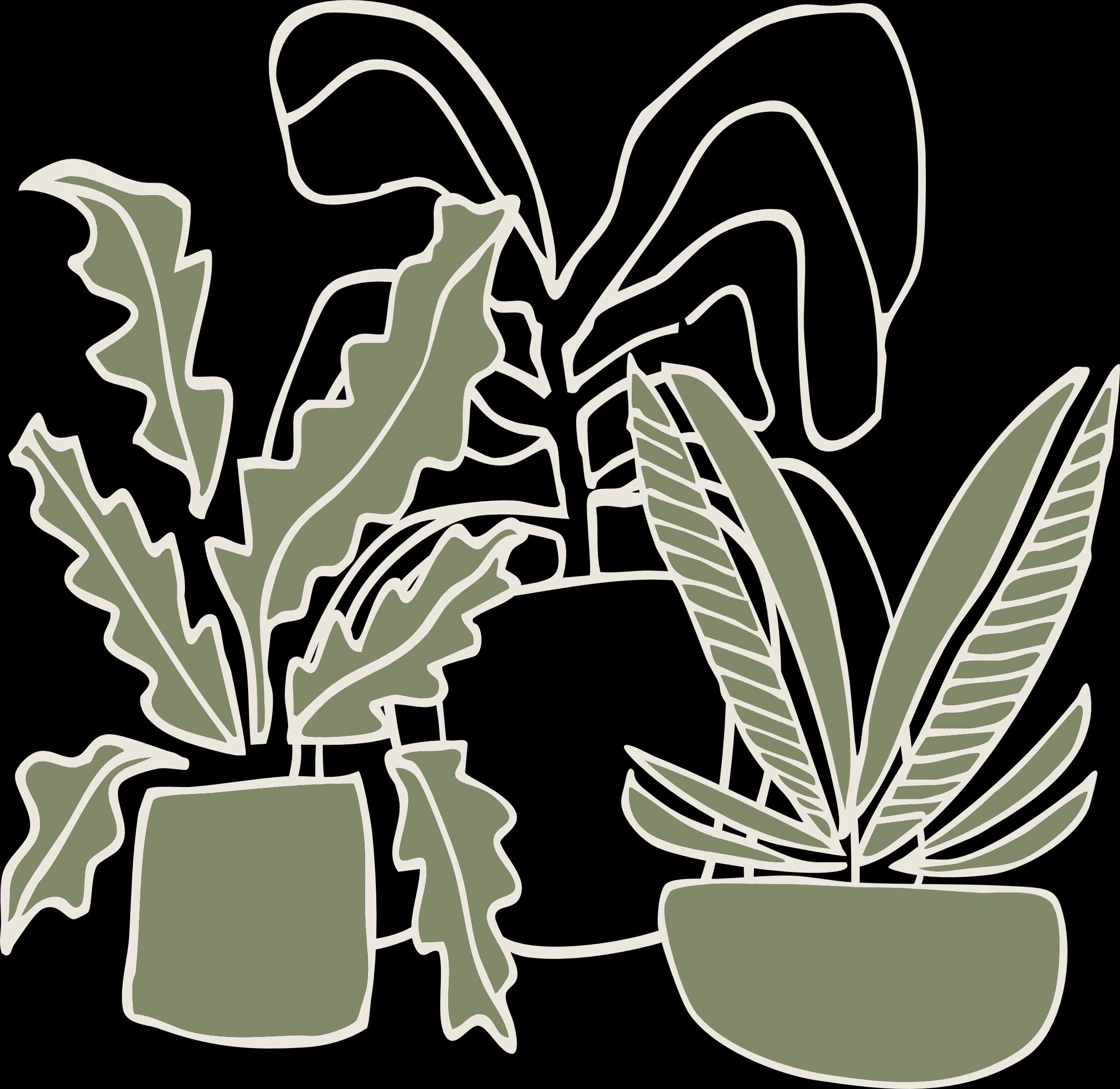 Decorative botanical outline illustration.